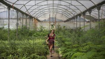 Una pareja convierte su casa de ladrillos en una vivienda invernadero de 247 m2 en plena naturaleza