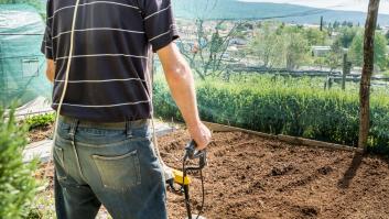 Detienen en Alicante a dos empresarios por explotar laboralmente a migrantes pelando cebollas durante 16 horas sin descanso