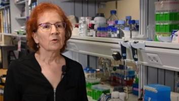 El mayor experto de coronavirus de España expone su teoría sobre lo que está pasando en Madrid