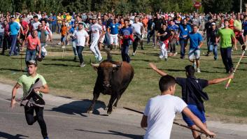 El Toro de la Vega se sustituirá por dos encierros sin lancear