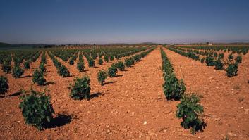 Las guerras de los dos grandes del vino en España