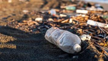 De frutas a plástico y pañales: cuánto tarda la naturaleza en eliminar nuestros residuos