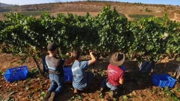 La justicia europea exige identificar productos de asentamientos israelíes