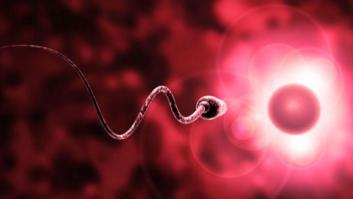 Más donantes de semen y de óvulos por la crisis: "Ayudo a la gente, saco un sueldillo y me da vidilla"