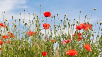 Comienza la primavera: mira los eclipses que vienen y cuándo hay que cambiar la hora