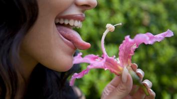 La lengua puede oler