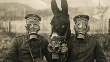 Noticias falsas, ¿un invento en tiempos de la COVID-19?