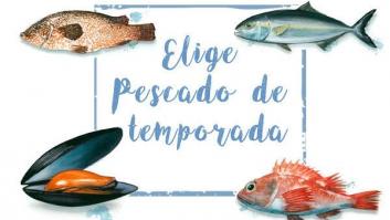 Pescado de temporada, mares con futuro