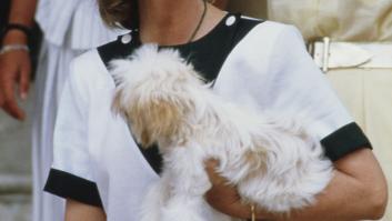 Un desalmado hace tragar cava a un caballo tras ganar con él una carrera en Mallorca