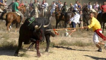 Tordesillas sustituye el Toro de la Vega por un festejo llamado 'Toro de la Peña'