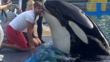 Las vacaciones rurales de Iniesta