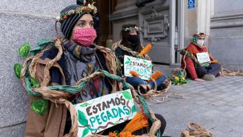 Detener el ecocidio o sufrir más pandemias