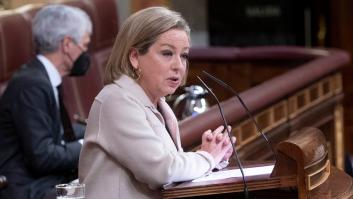 Oramas dejará el Congreso para concurrir a las próximas elecciones autonómicas en Canarias