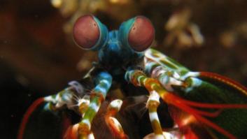 ¿Detectarán el cáncer las cámaras del futuro? (FOTOS)