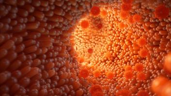 Las bacterias del intestino para la eterna juventud