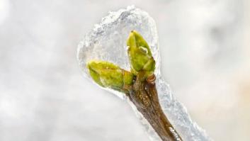 La recuperación económica llevará al menos 10 años, según el BBVA