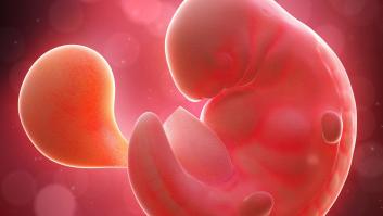 Eslovaquia obligará a ver una imagen del feto a las mujeres que quieran abortar