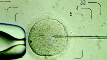 Apple y Facebook pagarán la congelación de óvulos de sus empleadas