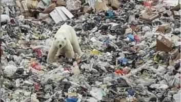 Las imágenes que te harán concienciarte del todo sobre la crisis climática