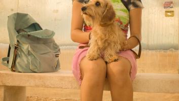 Dora Postigo: "Unirse a una lucha no es colgar algo en redes"