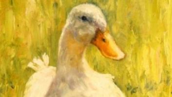 Ada Colau y el pato de Voltaire