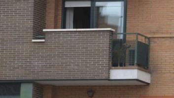 Teresa Romero ya sabe que su perro Excálibur fue sacrificado