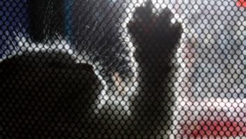 Monty, el gato con Síndrome de Down que ha enamorado a las redes sociales