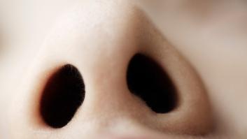 ¿Puedo ganar clientes por el olfato?