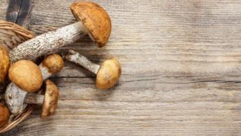 El boletus se sienta a la mesa: recetas para cocinar y trucos para limpiar esta seta (FOTOS)