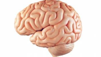 ¿Cómo evitar que el cerebro envejezca demasiado rápido?