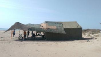 El Ejército custodia el nido de una tortuga en peligro de extinción en Valencia