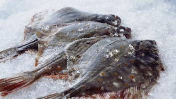 Planas asegura que Bruselas tenía los datos científicos de España cuando vetó la pesca de fondo