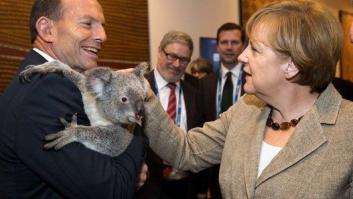 ¿Qué tendrá el koala? Líderes políticos de todo el mundo se posan con él (FOTOS)
