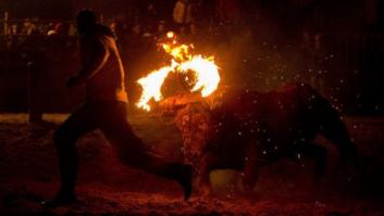 Incidentes y cuatro detenidos durante el 'Toro de Júbilo' de Medinaceli (FOTOS)