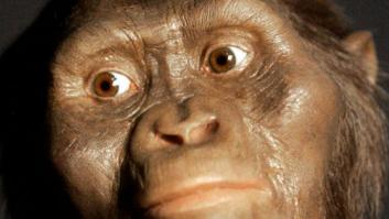 Un equipo de arqueólogos dice saber cómo murió "Lucy"