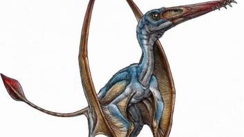 Descubierta en Argentina una nueva especie del primer reptil volador