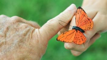 ¡Estás rodeado! 5 curiosidades de tu piel que probablemente no conocías