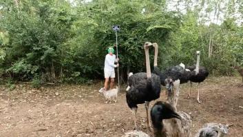 Frank Cuesta no duda en sumarse a la 'batalla' de la lechuga contra Truss que afecta a Ayuso