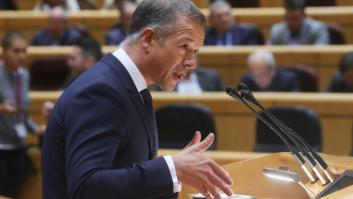 El portavoz socialista Ánder Gil será el nuevo presidente del Senado