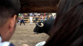 La verdadera historia de la muerte del Toro de la Peña de Tordesillas