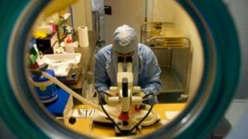 Logran desarrollar una molécula que detiene el desarrollo del alzhéimer en ratones