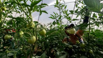 45 años de cárcel a un hombre que abusó sexualmente de seis jornaleras en Murcia