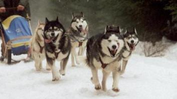 Disfruta de la nieve y la montaña de forma original y ¡por menos de 100 euros!