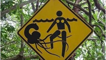 Si hablas en catalán, llegarás más lejos que hablando en castellano