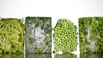 11 cosas que nunca deberías meter en el congelador