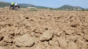 La OMS cifra en 15.000 los muertos en Europa este 2022 por culpa del calor