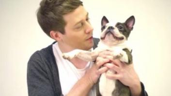 Los 14 mejores vídeos de perros de 2014