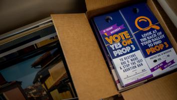 Aborto en Estados Unidos: Michigan, California y Vermont lo establecen como un derecho constitucional