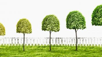 Por sus actos los conoceréis