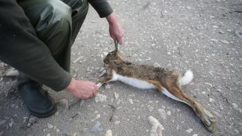 “Me gusta la caza, los toros y los hombres que maltratan a las mujeres”